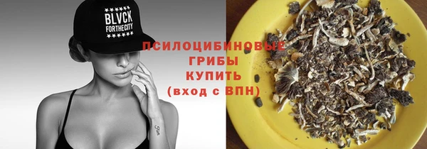 стаф Алексеевка