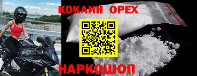 стаф Новозыбков