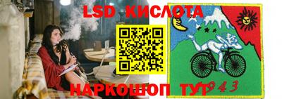 стаф Новозыбков