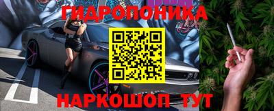 стаф Новозыбков