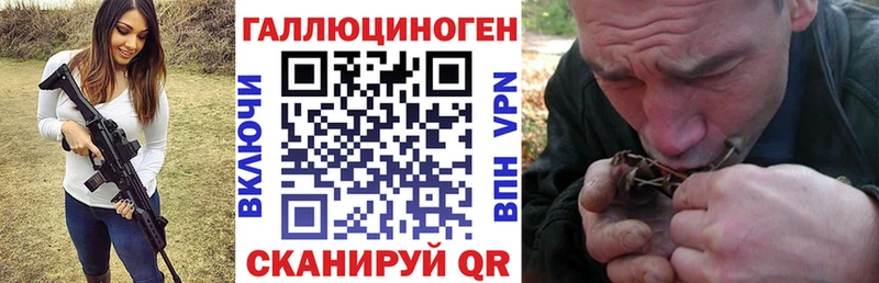 закладка  Волхов  Псилоцибиновые грибы Magic Shrooms 