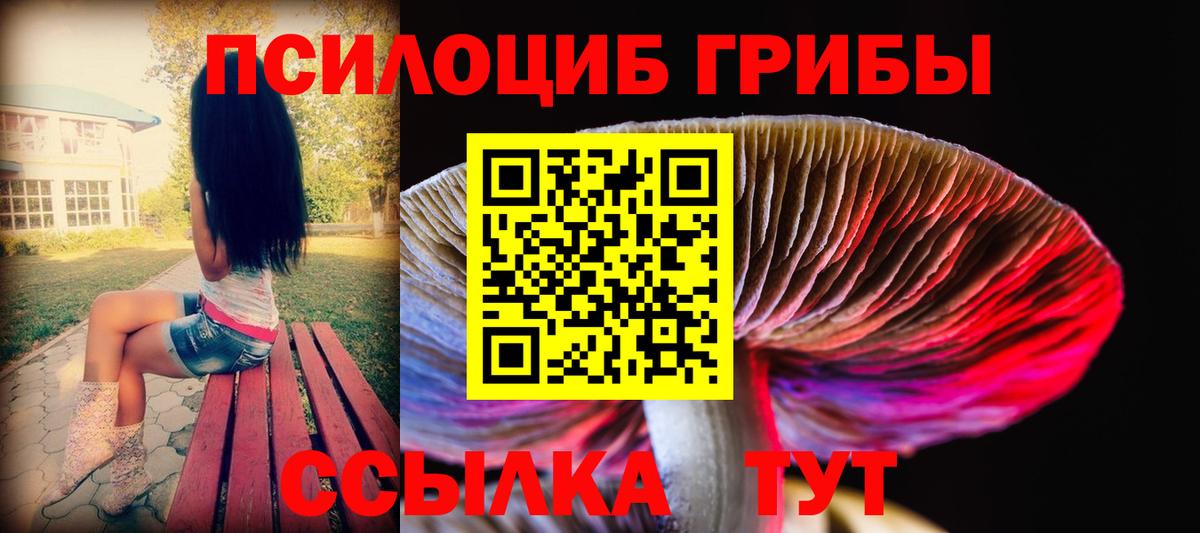 Галлюциногенные грибы мухоморы Волхов