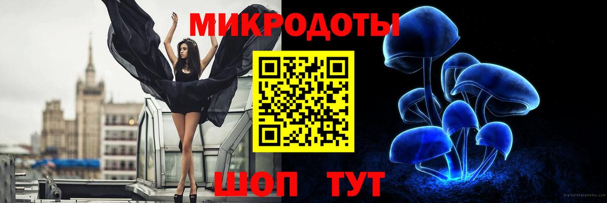 Волхов  Псилоцибиновые грибы GOLDEN TEACHER  Вход с VPN  Галлюциногенные грибы ЛСД 