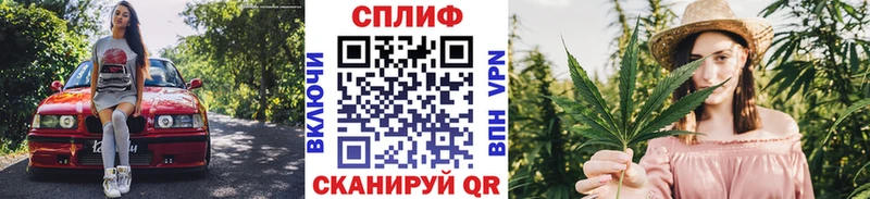 Бошки Шишки SATIVA & INDICA  Волхов 